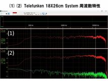 西独Telefunken 純正18×26㎝ 究極フルレンジユニットシステム_伝説のサウンド ペア !!!_画像10