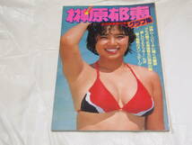 榊原郁恵　近代映画増刊号　グラフ集　写真集_画像1