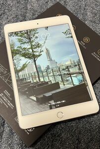 ♪極美品！！ Apple iPad mini (第５世代) Wi-Fi + Cellular 64GB SIMフリー完動品！！ 本体+中古ケース♪