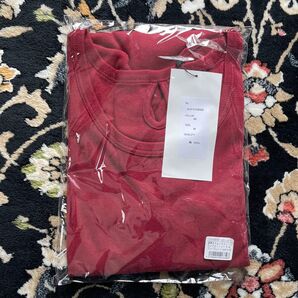 and it 長袖 ロンT カットソー スムース コットン 綿 100% 無地 ディープレッド