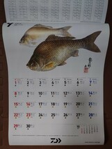 ★☆★店名なし！！　ダイワ（グローブライド）　カラー魚拓カレンダー　２０２４年版　新品・未使用品★☆★_画像8