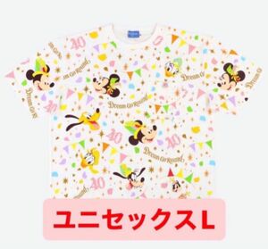 ディズニー　40周年　ハーモニーインカラー　ハモカラ　ディズニーランド　Tシャツ 半袖Tシャツ　ミッキー　ミニー　ドナルド L