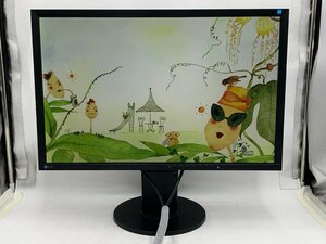 EIZO FlexScan EV2430-BK 24.1型 カラー液晶モニター フレームレス/スピーカー/1920x1200/IPS/DisplayPort/DVI-D/D-Sub15 使用時間(h):232