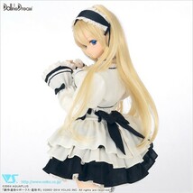 【未使用】DDdy 久寿川ささら ホワイトゴシックVer. ボークス ドルフィードリーム ToHeart2 Sasara Kusugawa VOLKS Dollfie Dream ドルパ_画像5