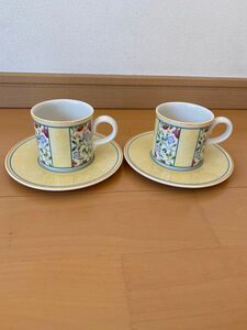 未使用　ビルロイ&ボッホ　Villeroy & Boch カップ ソーサー ペア