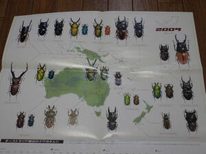 # rare #.. company Beak wa appendix # Australia . side stag beetle calendar 2009 cut . taking .. Poe Star also! rhinoceros beetle | stag beetle 