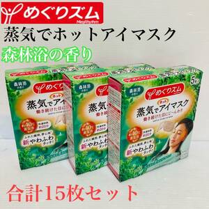  めぐリズム 蒸気でホットアイマスク 森林浴の香り リラクゼーション 合計15枚セット/Y121-45