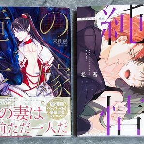 BL漫画 コミック 2冊セット 東野海 松基羊