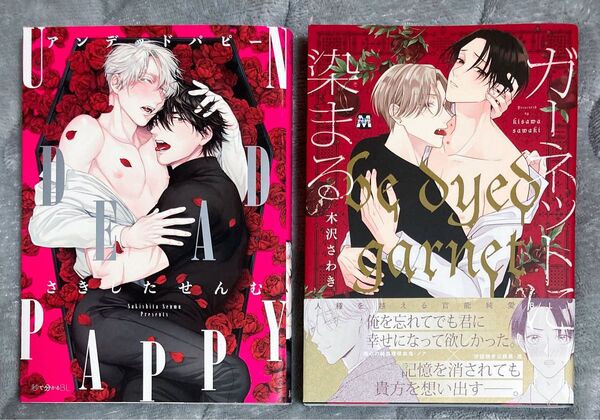 BL漫画 コミック 2冊セット さきしたせんむ 木沢さわき