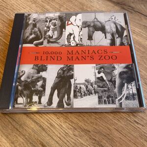 ネオアコ、10000maniacs、blind man's zoo、CD 、ギターポップ、インディロック、indie rock