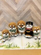 定形外送料無料 羊毛フェルト ハンドメイド 黒柴犬 豆柴 子犬 犬 ぬいぐるみ ポリーチェ _画像9