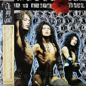 【LP/帯/美品】DEAD OR ALIVE / NUDE ライナー入り