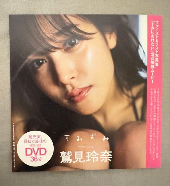 鷲見玲奈 すみずみ 週刊プレイボーイ 特別付録DVD