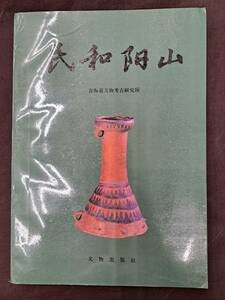 中文書☆民和陽山☆文物出版社☆青海省文物考古研究所☆1990年