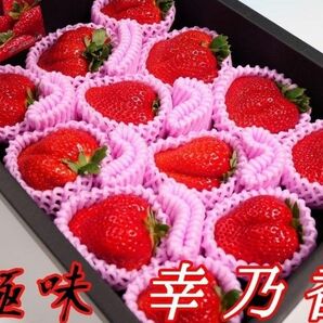 徳島県 極味 絶品 さちのか 苺 超大玉 4L 贈答用 プレゼント お祝い お歳暮 クリスマスお祝い