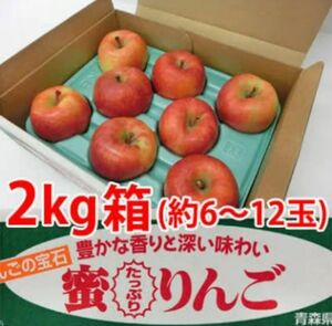 ①新物初入荷 青森産高蜜リンゴ【こみつ】一箱 9~13個入 糖度14 お歳暮