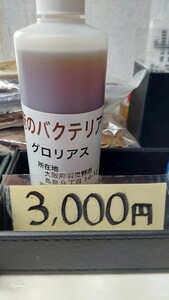 グロリアス　シュリンプ専用　俺のバクテリア300ml　お徳用