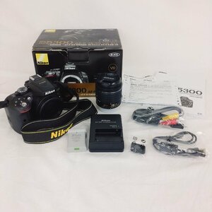 Nikon　ボディ/D5300　レンズ/AF-P NIKKOR 18-55mm 1:3.5-5.6 G　バッテリー/バッテリーチャージャー/ケーブル/取説/箱　ニコン
