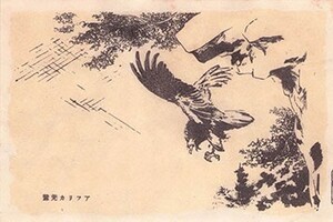 【送料無料】上野動物園 入場券 半券 チケット 戦前 アフリカ大鷲