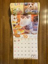 2024年（令和6年）壁掛けカレンダー　犬猫　送料無料（定形外郵便のみ）_画像4