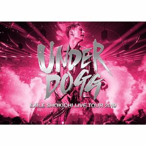 EXILE SHOKICHI LIVE TOUR 2019 UNDERDOGG(DVD2枚組)(初回生産限定盤)