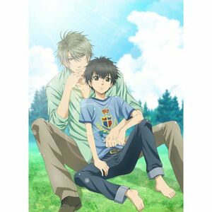 SUPER LOVERS 第2巻 限定版 DVD