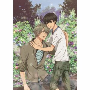 SUPER LOVERS 2第5巻限定版 DVD