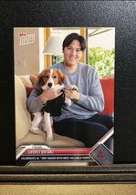 2023 TOPPS NOW 大谷翔平 愛犬 AL MVP PUPPY OS-19 Shohei Ohtani ベースボールカード baseball MLB WBC プロ野球 / bbm panini_画像1