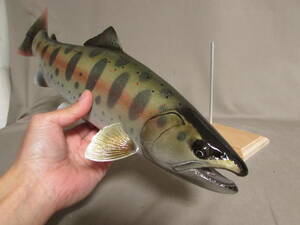 ●ハンドメイド　 自作　３９cmアマゴ　フィギュア　レプリカ　模型　渓流魚　 即決　fish craft REAL