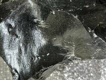 北海道白滝産（北海道四大産地の一つ）の漆黒の黒曜石原石　約12.15ｋgの大きな塊　希少　標本や石器づくりにいかがですか？_画像5