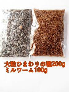 大粒ひまわりの種200g ミルワーム100g 小動物 ハムスター ハリネズミ