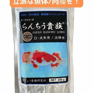 らんちう貴族　D　成魚用200g