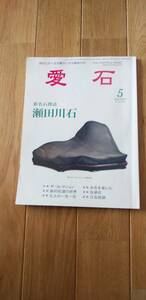 愛石　水石　新名石探訪　瀬田川石　石及美社　2009年　5月号　