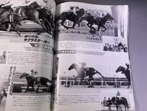 優駿増刊号 TURF HERO '87 1987年 競馬_画像6