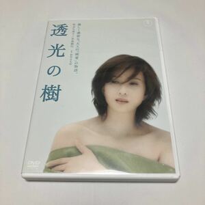 透光の樹 DVD