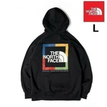 1円～!売切!【正規新品】THE NORTH FACE◆W NOV GRAPHIC HOODIE パーカー スウェット US限定 裏起毛 ボックスロゴ キャンプ(L)黒 181130-30_画像7