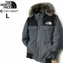 1円～!売切!【正規新品】THE NORTH FACE◆MCMURDO BOMBER JACKET マクマードボンバー ダウンジャケット US限定 防寒(L)グレー 190122-175_画像3