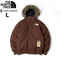 1円～!売切!【正規新品】THE NORTH FACE◆MCMURDO BOMBER JACKET マクマードボンバー ダウンジャケット US限定 新作 防寒(L)茶 190122-175_画像1