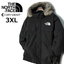 1円～!売切!【正規新品】THE NORTH FACE MCMURDO BOMBER JACKET マクマードボンバー ダウンジャケット US限定 新作 防寒(3XL)黒 190122-175_画像3