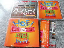 音楽CD 布袋寅泰 美品CD HOTEI GREATEST HITS 1990-1999 ベスト グレイテストヒッツ best スルリ バンビーナ POISON 他16曲入り BOOWY_画像1