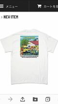 【未開封】Hi-STANDARD ハイスタンダード TM paint Tシャツ S ハイスタ 横山健 恒岡章　ピザオブデス　ken yokoyama_画像5