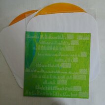 14026724;【ほぼ美盤/USオリジナル/2LP/限定プレス/Orange Vinyl/見開き/シュリンク付】Jhene AIko ジェネイ・アイコ / Trip トリップ_画像3