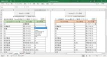 Access データベース連携 ソフトウェア ( Excel VBA )_画像2