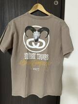 ステューシー STUSSY stussy Mサイズ オールドステューシー OLDSTUSSY oldstussy ストリート スケーター サーフィン_画像1