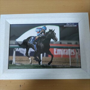  horse racing iki knock s.. Dubai Cima Classic abroad victory postcard white picture frame card collection horse . unused 