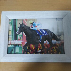  horse racing Japan cup ..iki knock s have horse memory postcard white amount attaching collection horse . unused Dubai World Cup victory 