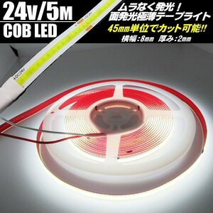 トラック 面発光 色ムラ つぶつぶ感なし 24V 5M 極薄 2mm COB LED テープライト 白 ホワイト 新型 柔軟 切断 カット アイライン チューブ F