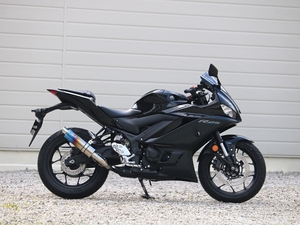 新品 WR’S YZF-R25/MT-25 2022～ (8BK-RG74J) スリップオン S.O.Vショートオーバルタイプ 焼き色チタン仕様 FV2270JM ダブルアールズ