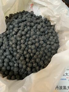 新豆 令和5年産 農家直送　丹波の黒豆100g 特大3L