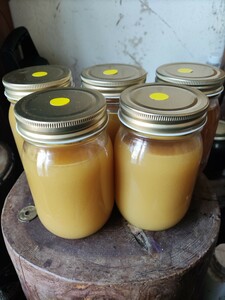 日本蜜蜂 純粋 蜂蜜 ハチミツ　５００ｇ　5本セット　 静岡県 牧之原産　結晶化してます。